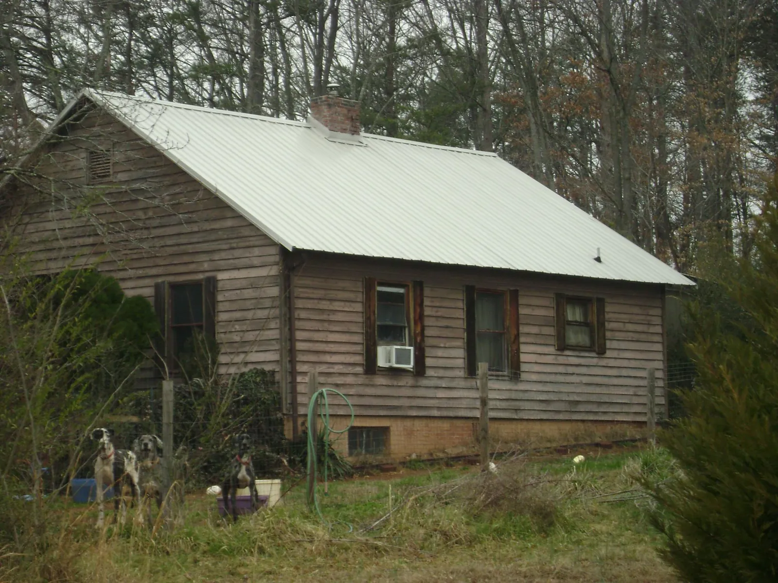 White metal roof on an old wood sided farmhouse, from a Metal Roof Installation job in Champion